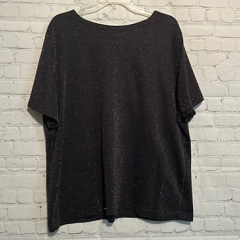 Kathie Lee Women’s Bling Sparkly Top Size 22W/24W